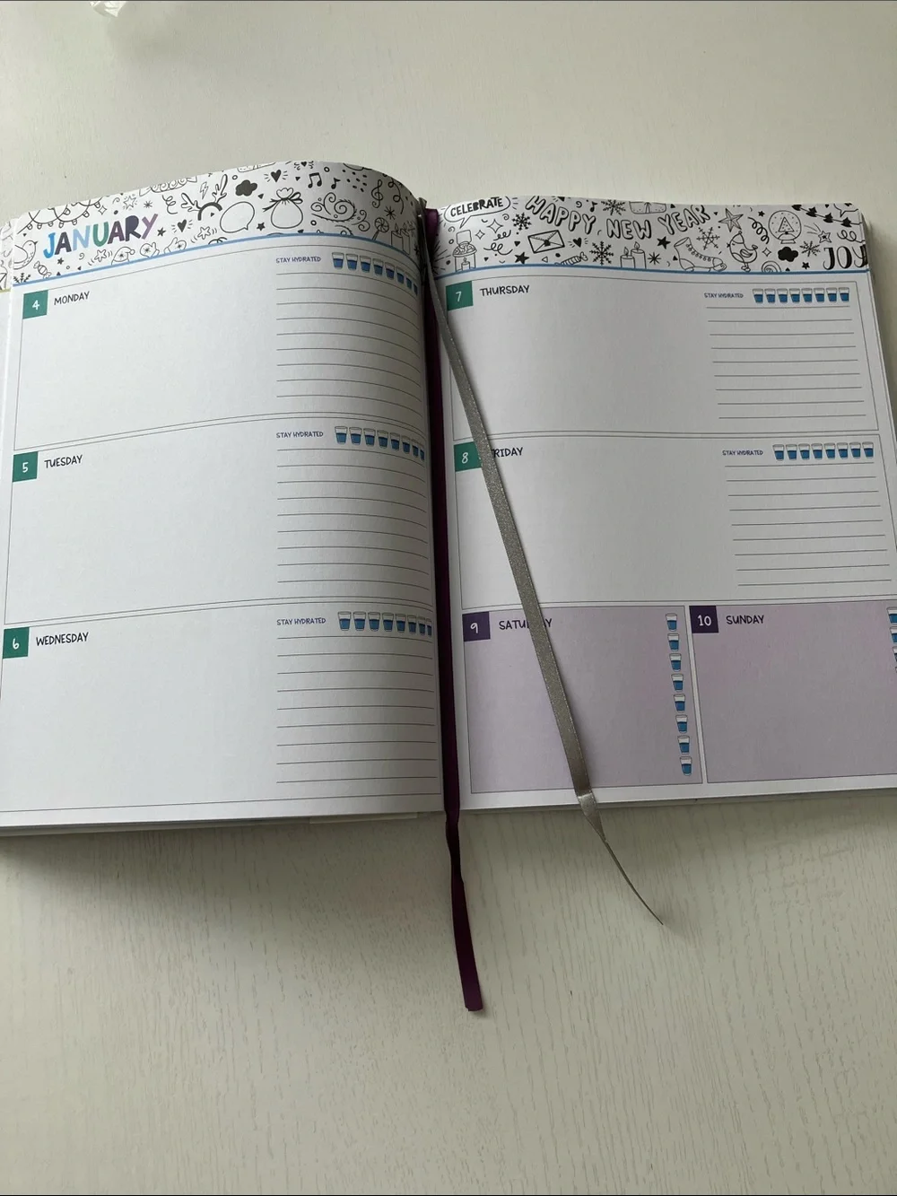 The Creative Expert 17 Month Planner -  (August 2026-December 2027) NWT